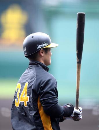 　日本ハムに移籍する谷川のジャンパーを着て練習する坂本（撮影・山口登）