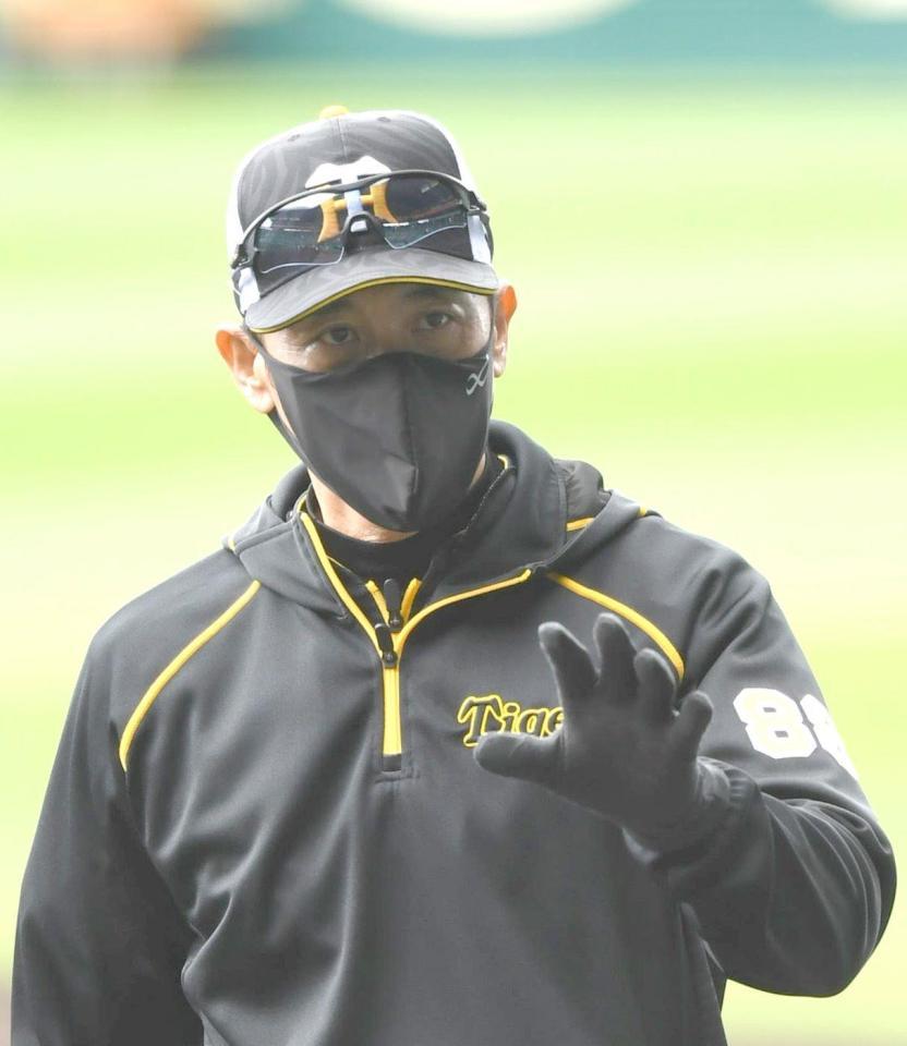 試合前の練習を見る阪神・矢野燿大監督＝甲子園（撮影・北村雅宏）