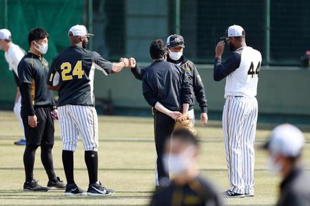 　平田監督（中央奥）とタッチするロハス（左から２人目）とアルカンタラ（右端）＝代表撮影