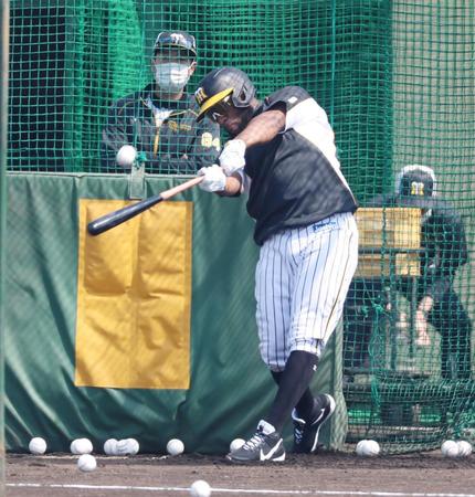 　打撃練習するロハス（代表撮影）