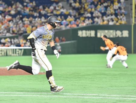 　７回、遊前内野安打で出塁する阪神・佐藤輝明（撮影・西岡正）