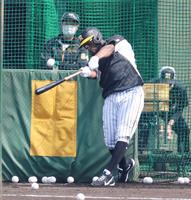 　打撃練習するロハス（代表撮影）