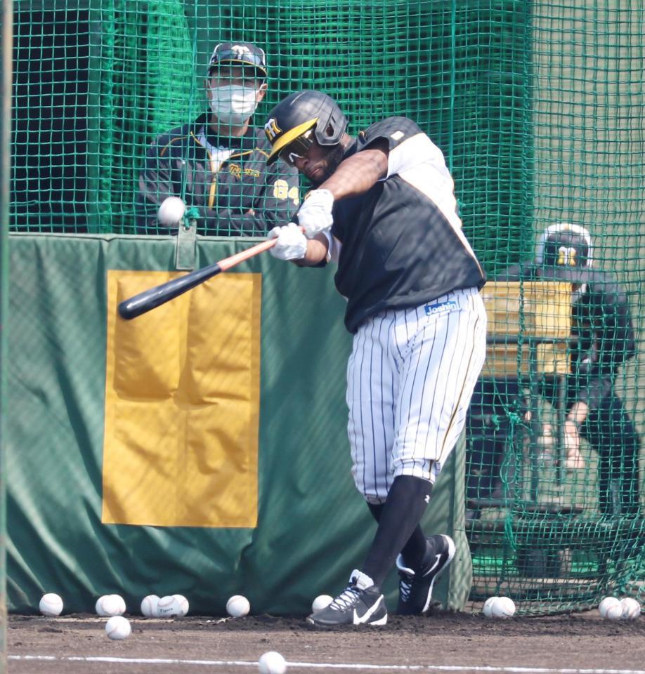 　打撃練習するロハス（代表撮影）