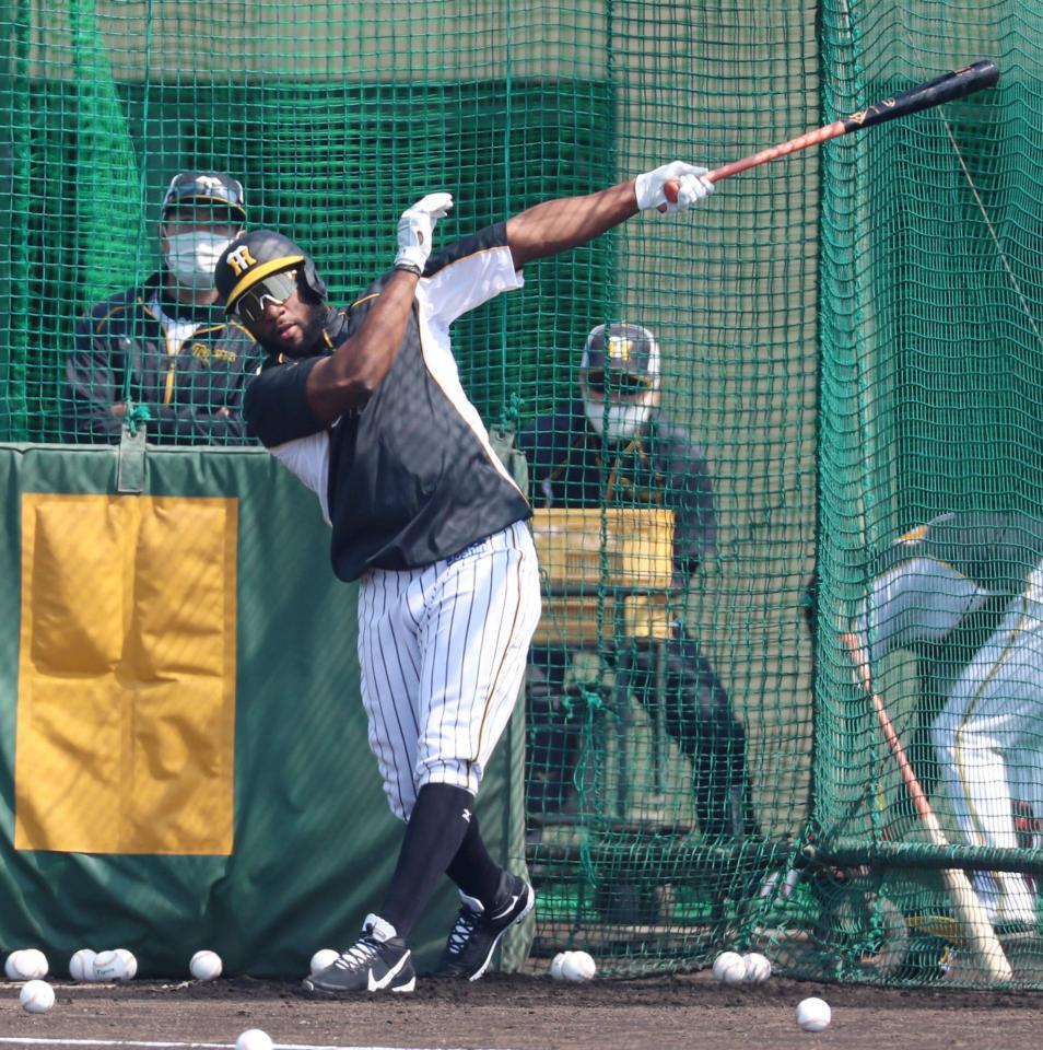 　打撃練習するロハス（代表撮影）