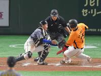 　６回、大城のゴロで本塁を狙った岡本和（右）を封殺する梅野（撮影・高石航平）