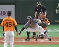 　６回、特大ファウルを放ち、がに股で悔しがるマルテ（撮影・高石航平）