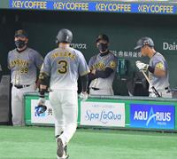 　８回、中飛に倒れた大山（３）を見つめる矢野監督（右から２人目）＝撮影・高石航平