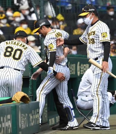 　１回、自打球を当て、ベンチ奥に引き揚げる近本（中央）＝撮影・北村雅宏