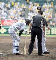 　１回、近本は自打球を足に当てる（撮影・山口登）