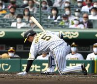 　１回、近本は自打球を足に当てる（撮影・山口登）