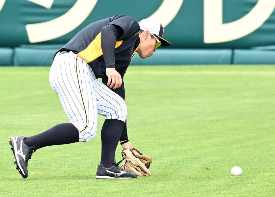 　右翼で守備練習する佐藤輝（撮影・飯室逸平）