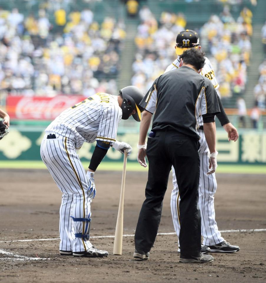 　１回、近本は自打球を足に当てる（撮影・山口登）