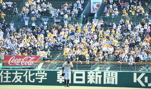 甲子園で無観客試合 阪神 矢野監督 オレらの野球から元気づけていきたい 阪神タイガース デイリースポーツ Online