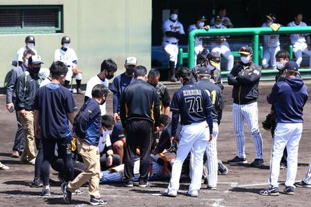 ２回、死球を受けた長坂（代表撮影）