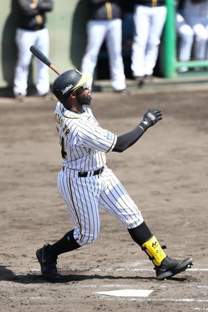 ２回、犠飛を放つ阪神・ロハス（代表撮影）