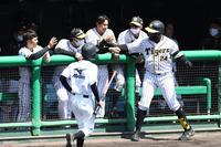 ２回、犠飛を放ち出迎えられる阪神・ロハス（代表撮影）