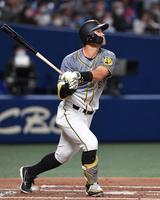 　２回、先制となるソロを放つ佐藤輝（撮影・北村雅宏）