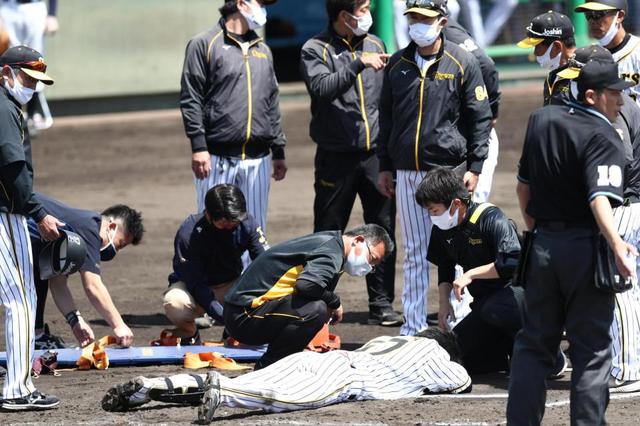 阪神の若手捕手が２軍戦で負傷　頭部死球受け途中交代　起き上がれず