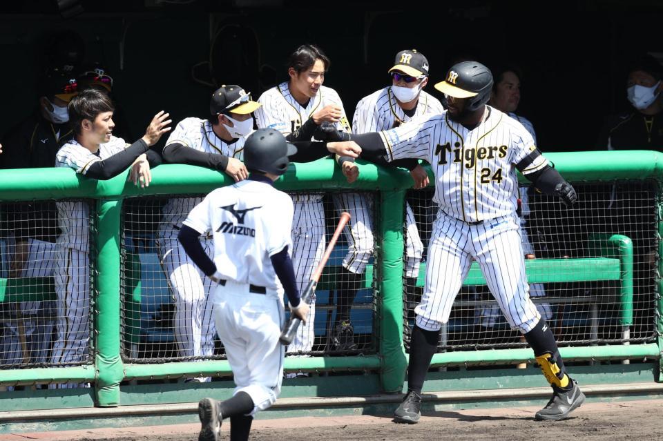 ２回、犠飛を放ち出迎えられる阪神・ロハス（代表撮影）