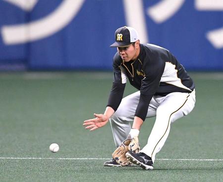 試合前、遊撃手のポジションでノックを受ける佐藤輝（撮影・北村雅宏）