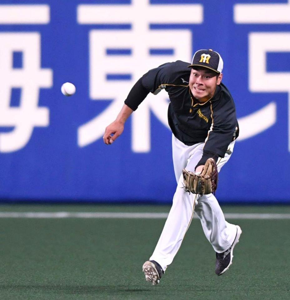 試合前、右翼手のポジションでノックを受ける佐藤輝（撮影・北村雅宏）