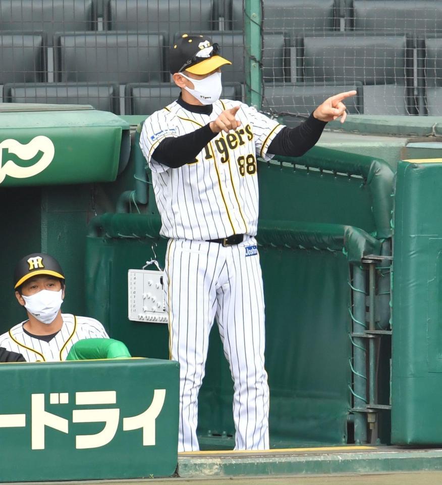 １回広島１死二塁、鈴木誠也の二ゴロがセーフと判定されリクエストする阪神・矢野監督。結果はアウトになる＝甲子園球場（撮影・吉澤敬太）