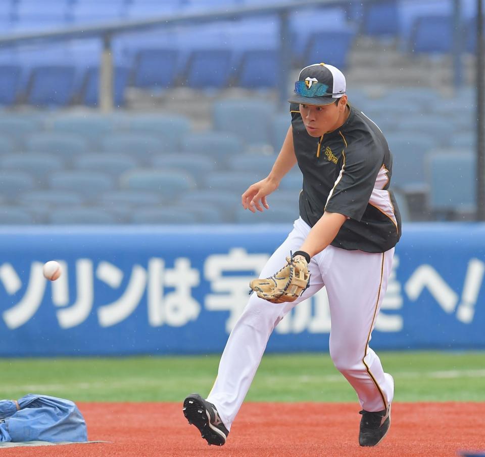 サードでノックを受ける阪神・佐藤輝明＝横浜スタジアム（撮影・高石航平）