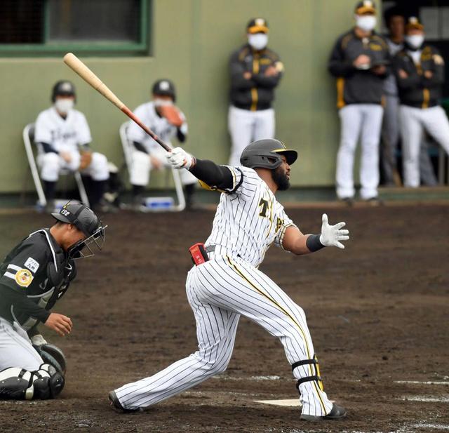 阪神・ロハスが１軍昇格　大山不在で外国人野手３人態勢、矢野監督が明言