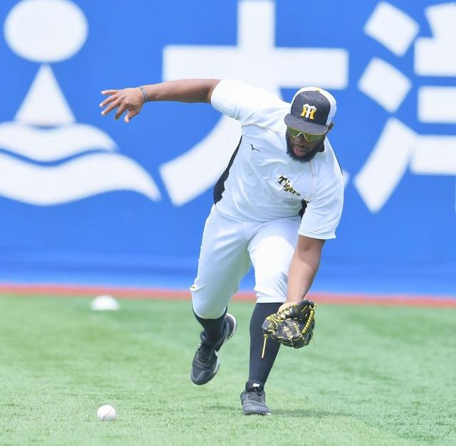 阪神・ロハス「6番・右翼」でデビュー 先発のドラ2・伊藤将は25歳誕生日