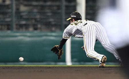 　７回、中日・ビシエドの放ったゴロに飛びつく阪神・中野拓夢（撮影・北村雅宏）