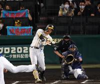 　６回、中前へ安打を放つ阪神・佐藤輝明（撮影・田中太一）