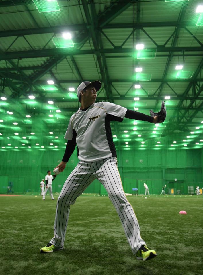 キャッチボールする青柳（撮影・山口登）