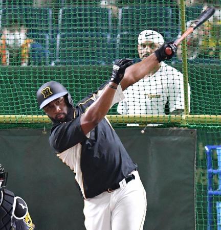 マルテ（右）が見つめる前で打撃練習するロハス（撮影・西岡正）