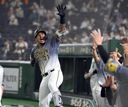 ４回、同点ソロを放ったマルテはおなじみの「ラパンパラ」ポーズを決める（撮影・田中太一）