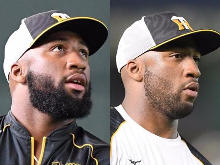 　１４日の阪神・ロハス（左）と１５日、アゴひげを短く刈り込んで練習に臨んだロハス