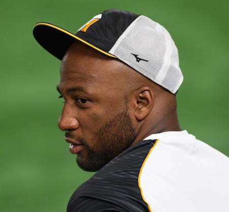 アゴひげを短く刈り込んだロハス（撮影・田中太一）