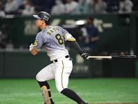 　４回、右中間へ二塁打を放つ佐藤輝