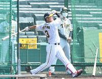 フリー打撃で快音を響かせる大山（撮影・飯室逸平）