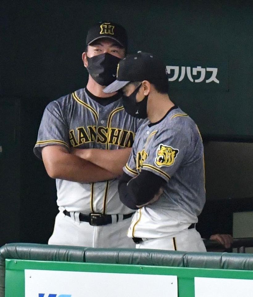 巨人に後一歩、及ばす。引き揚げる矢野監督（撮影・西岡正）