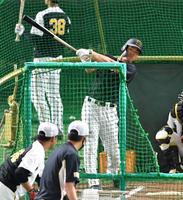 打撃練習する阪神・佐藤輝明＝東京ドーム（撮影・西岡正）