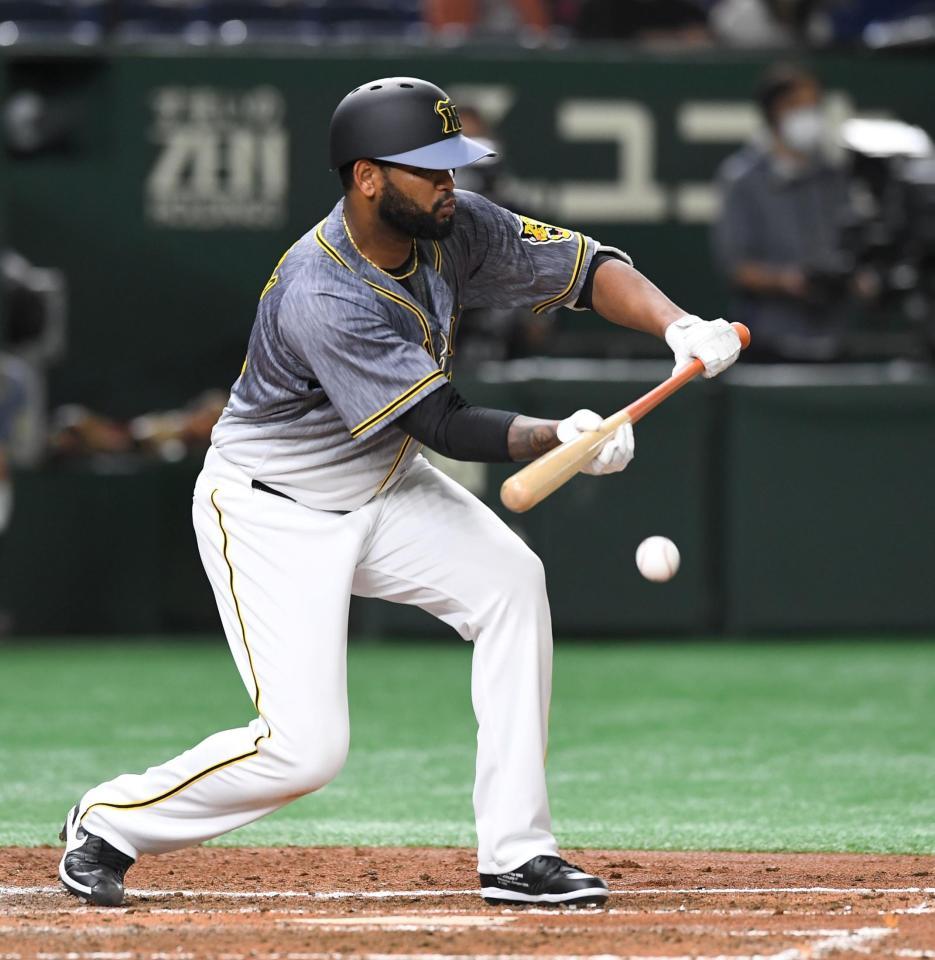 ４回表阪神１死一塁、ラウル・アルカンタラは投前バントを決める＝東京ドーム（撮影・佐藤厚）