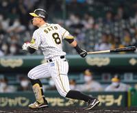 　６回、中前へ適時打を放つ佐藤輝（撮影・田中太一）