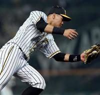 　７回、山崎の打球をすくい上げ好捕する佐藤輝（撮影・田中太一）