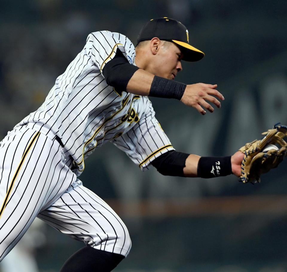 　７回、山崎の打球をすくい上げ好捕する佐藤輝（撮影・田中太一）