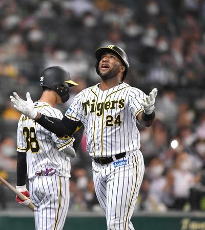 　ベースを一周し、天を見上げるロハス