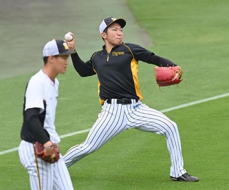 　キャッチボールする石井大（撮影・飯室逸平）