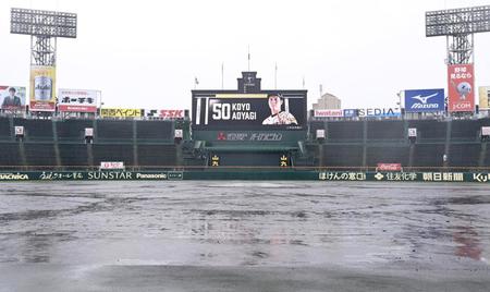 雨が降りしきる甲子園（撮影・飯室逸平）