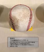 甲子園歴史観に展示される阪神・西純矢初勝利のウイニングボール＝甲子園歴史館（撮影・飯室逸平）