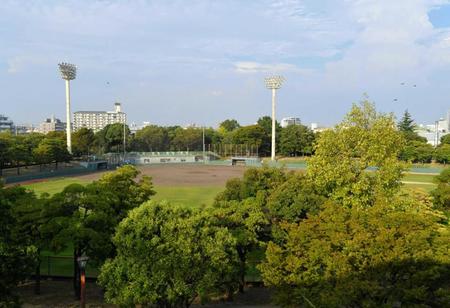 　小田南公園の軟式野球場