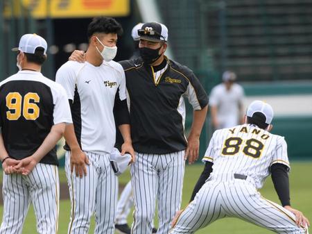 練習前、井上コーチと話をする佐藤輝。右手前は矢野監督（撮影・田中太一）